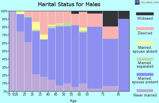 Zip code 38351 marital status for males