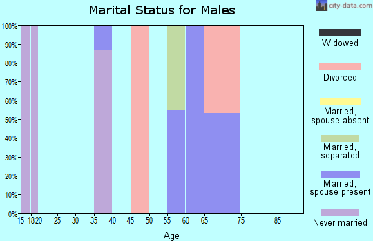 Zip code 38352 marital status for males