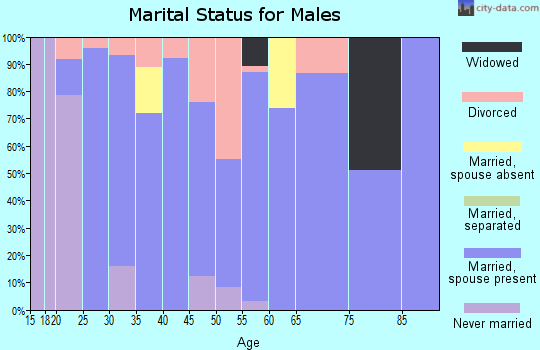 Zip code 38355 marital status for males