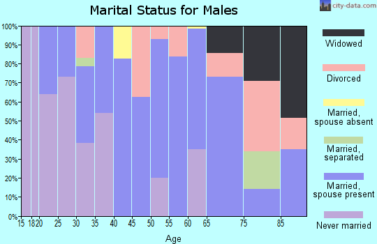 Zip code 38356 marital status for males