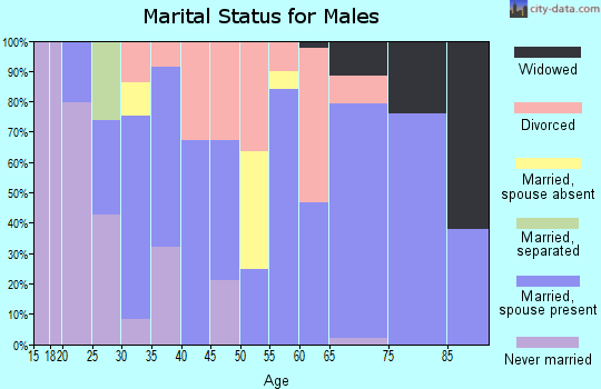 Zip code 38357 marital status for males