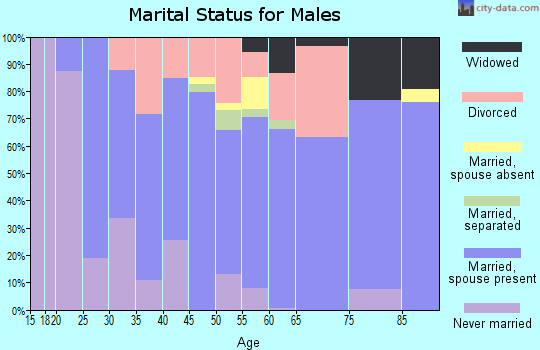 Zip code 38358 marital status for males