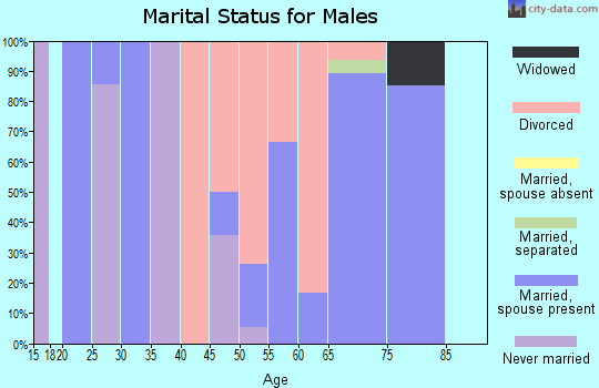 Zip code 38359 marital status for males