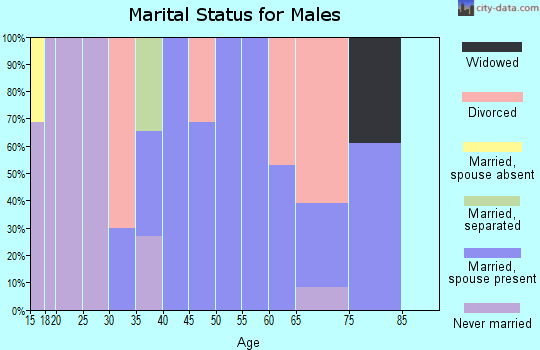 Zip code 38361 marital status for males