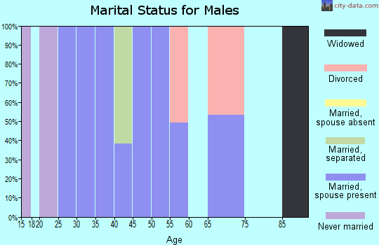 Zip code 38362 marital status for males