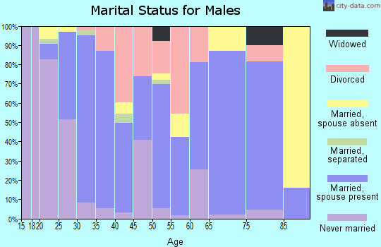 Zip code 38363 marital status for males