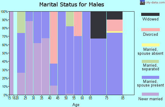 Zip code 38366 marital status for males