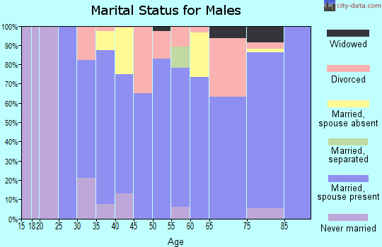 Zip code 38367 marital status for males