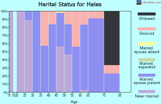Zip code 38371 marital status for males
