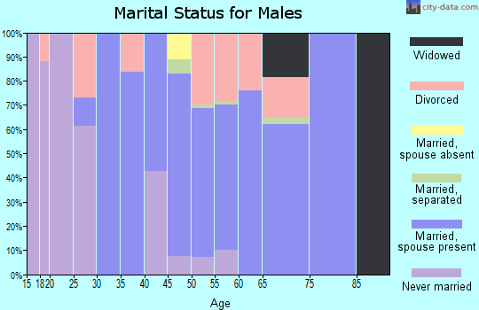 Zip code 38374 marital status for males