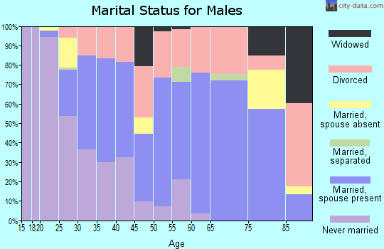 Zip code 38375 marital status for males