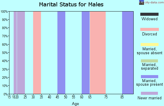 Zip code 38376 marital status for males