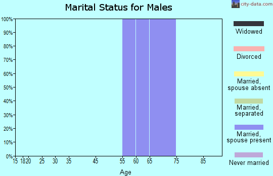 Zip code 38378 marital status for males