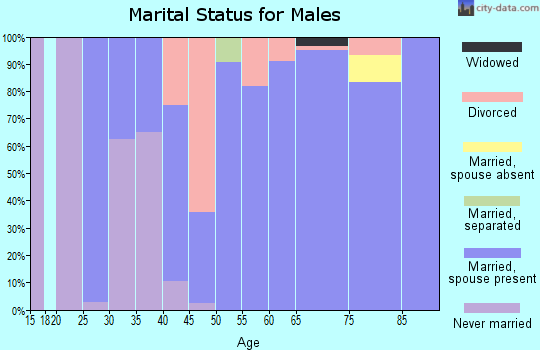 Zip code 38379 marital status for males