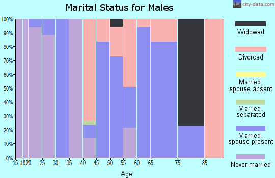 Zip code 38381 marital status for males