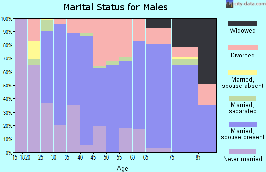 Zip code 38382 marital status for males