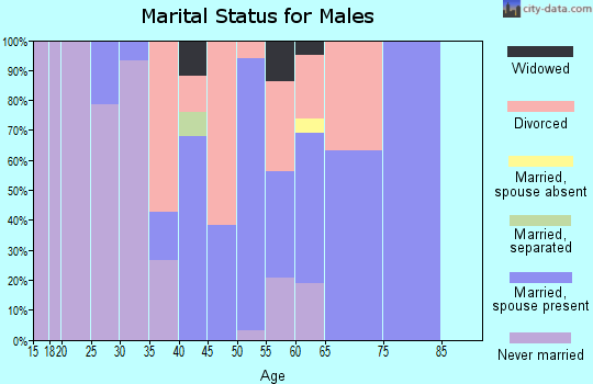 Zip code 38388 marital status for males