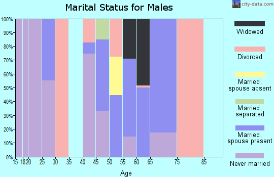 Zip code 38391 marital status for males