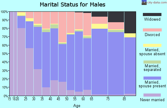 Zip code 38401 marital status for males