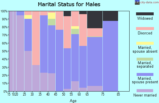 Zip code 38450 marital status for males