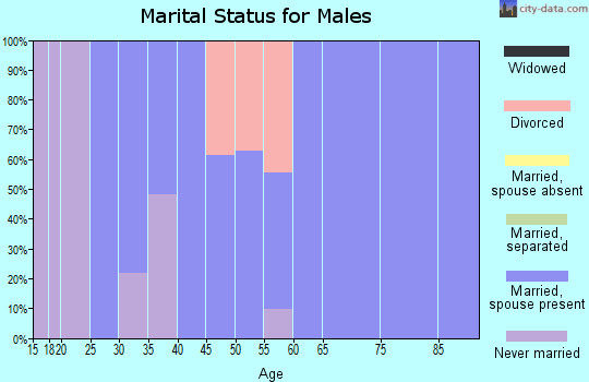 Zip code 38452 marital status for males