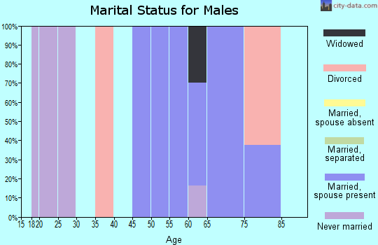 Zip code 38453 marital status for males