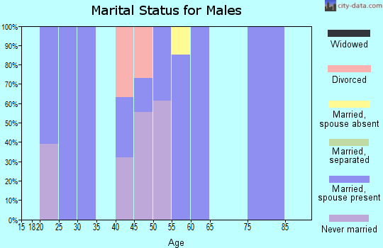 Zip code 38454 marital status for males
