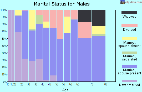 Zip code 38456 marital status for males