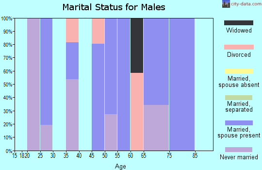 Zip code 38459 marital status for males