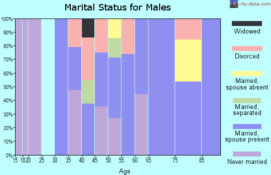 Zip code 38461 marital status for males