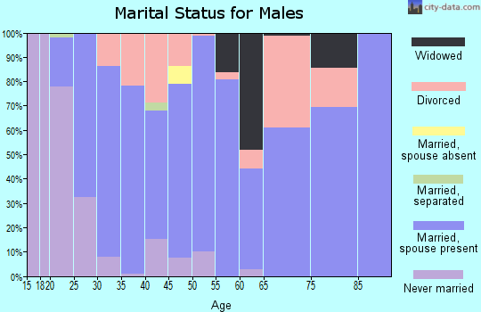 Zip code 38463 marital status for males