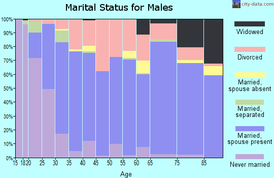 Zip code 38464 marital status for males