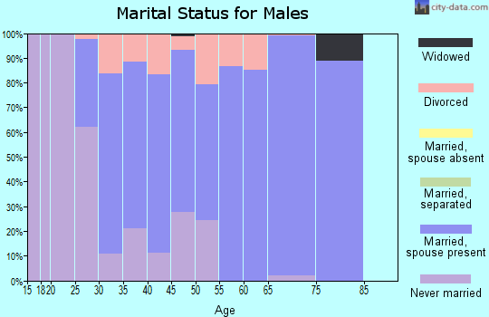 Zip code 38472 marital status for males