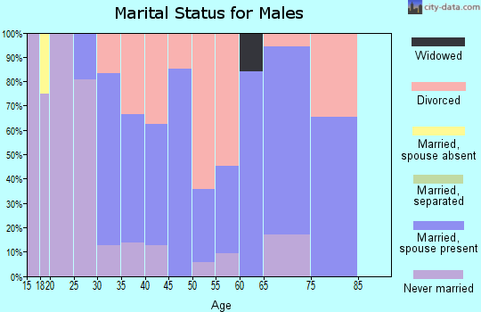 Zip code 38473 marital status for males