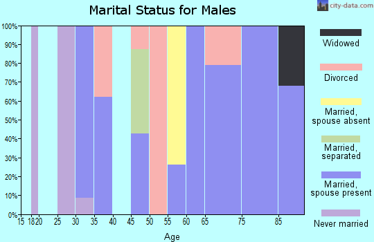 Zip code 38476 marital status for males