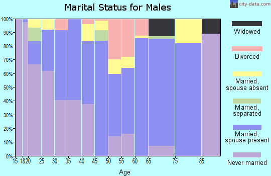 Zip code 38477 marital status for males