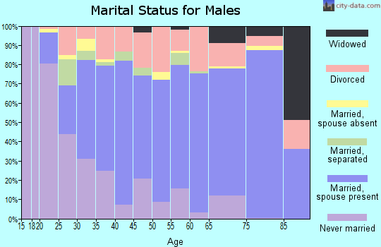 Zip code 38478 marital status for males