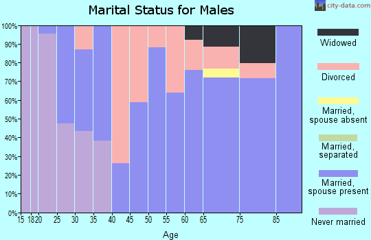 Zip code 38481 marital status for males