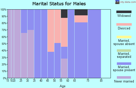 Zip code 38482 marital status for males