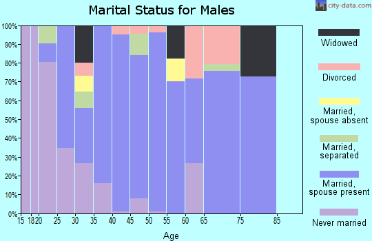 Zip code 38483 marital status for males
