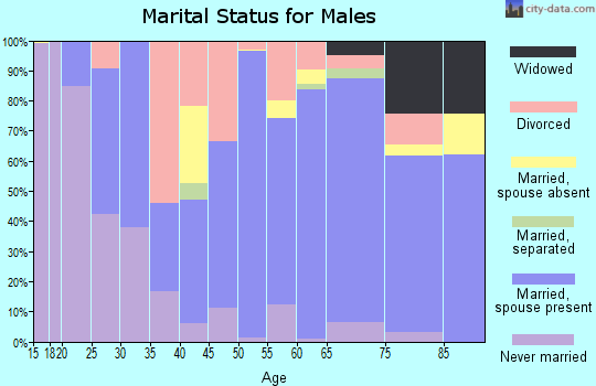 Zip code 38485 marital status for males