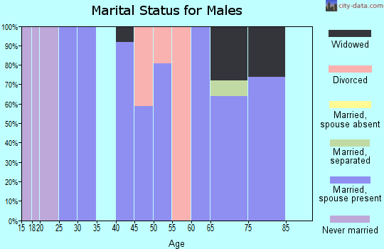 Zip code 38486 marital status for males