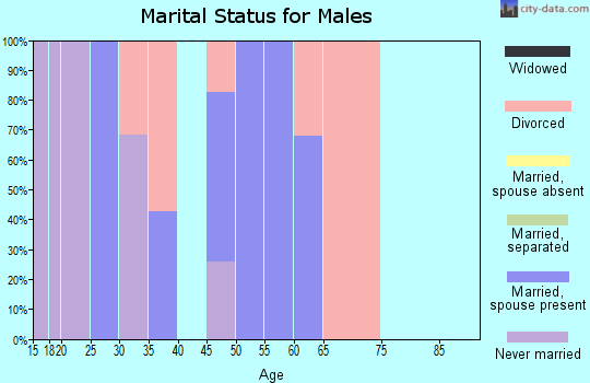 Zip code 38487 marital status for males
