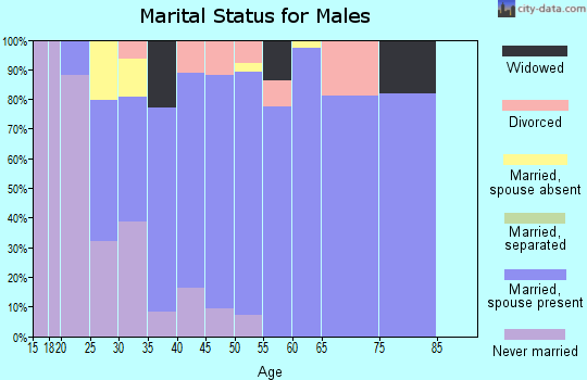 Zip code 38488 marital status for males