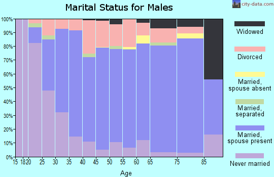 Zip code 38506 marital status for males