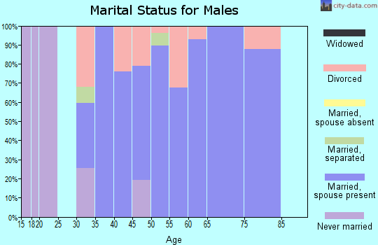 Zip code 38541 marital status for males