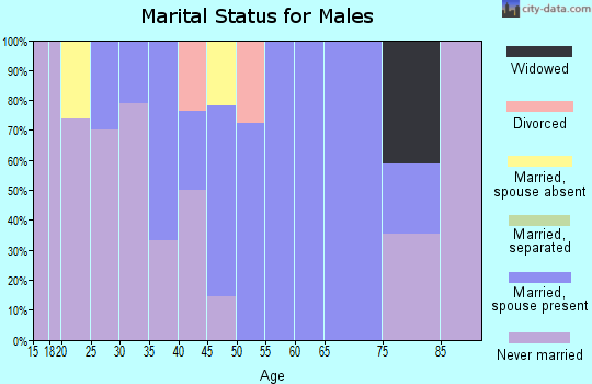 Zip code 38545 marital status for males