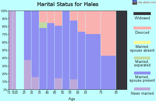 Zip code 38547 marital status for males