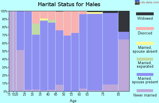 Zip code 38549 marital status for males