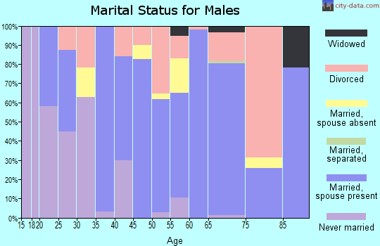 Zip code 38551 marital status for males